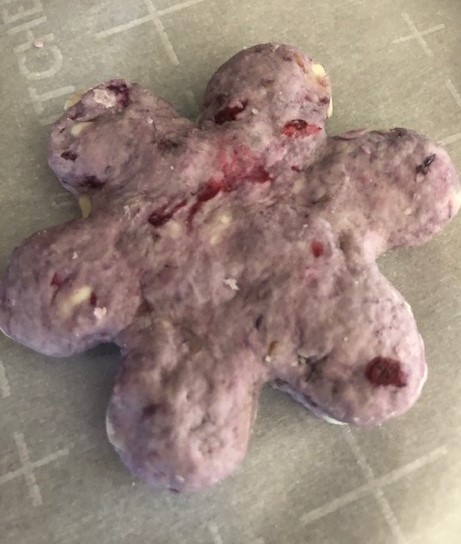 Lucent Yoga Blackberry Scone